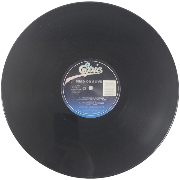 Dead or Alive Something In My House Vinyl - Epic Records 1986 - Picture 2 of 9